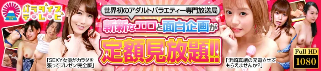 パラダイステレビ