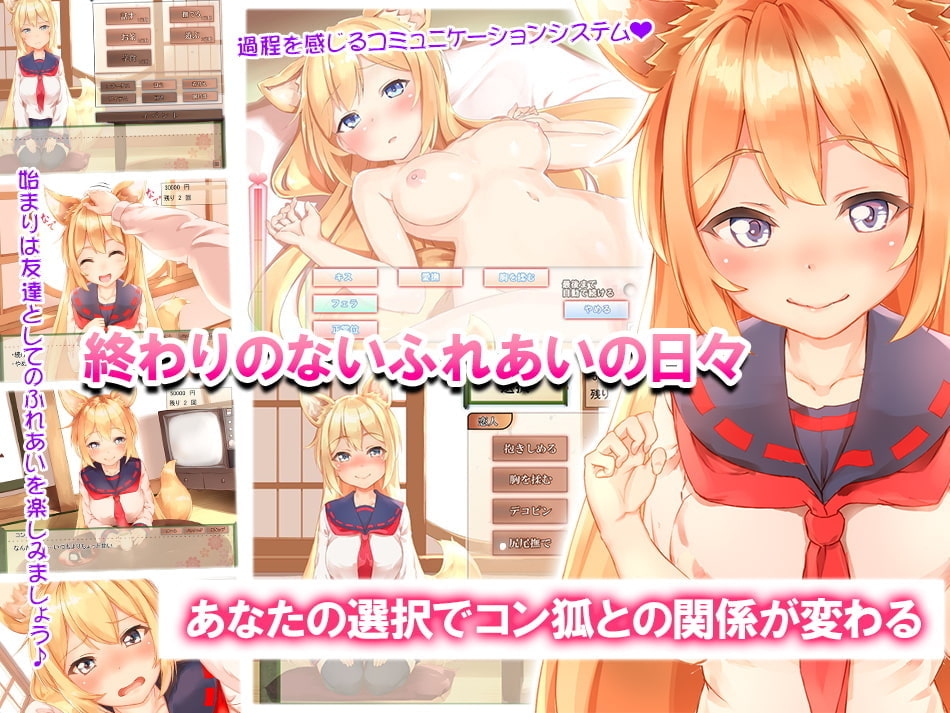 コン狐との日常
