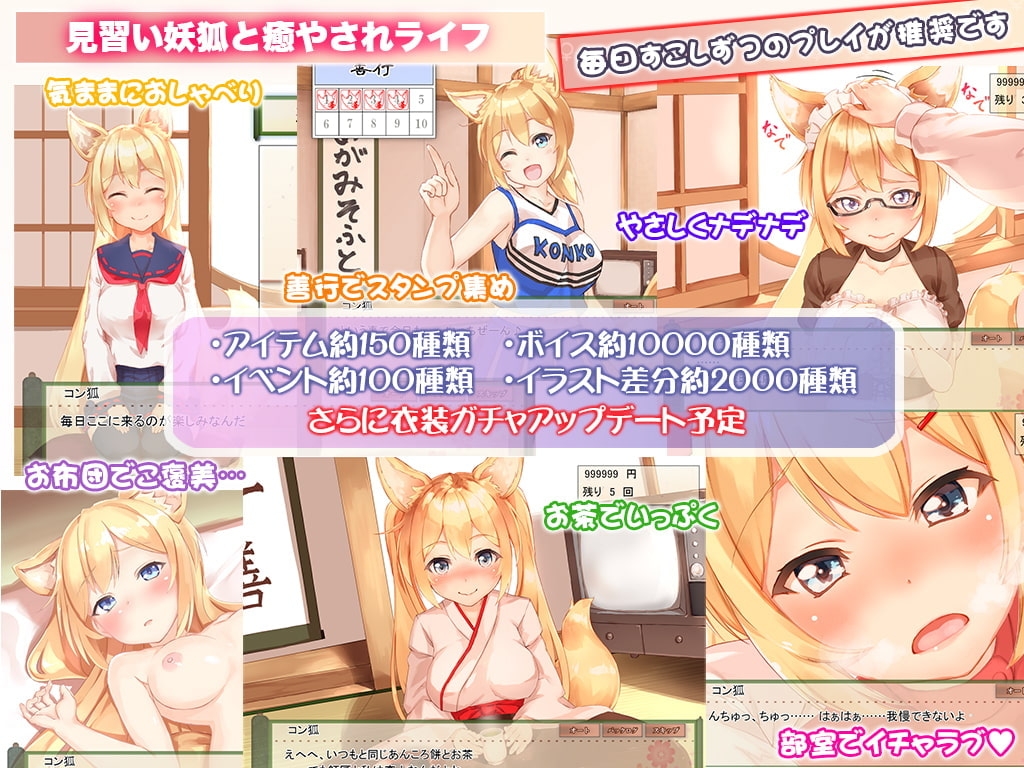 コン狐との日常